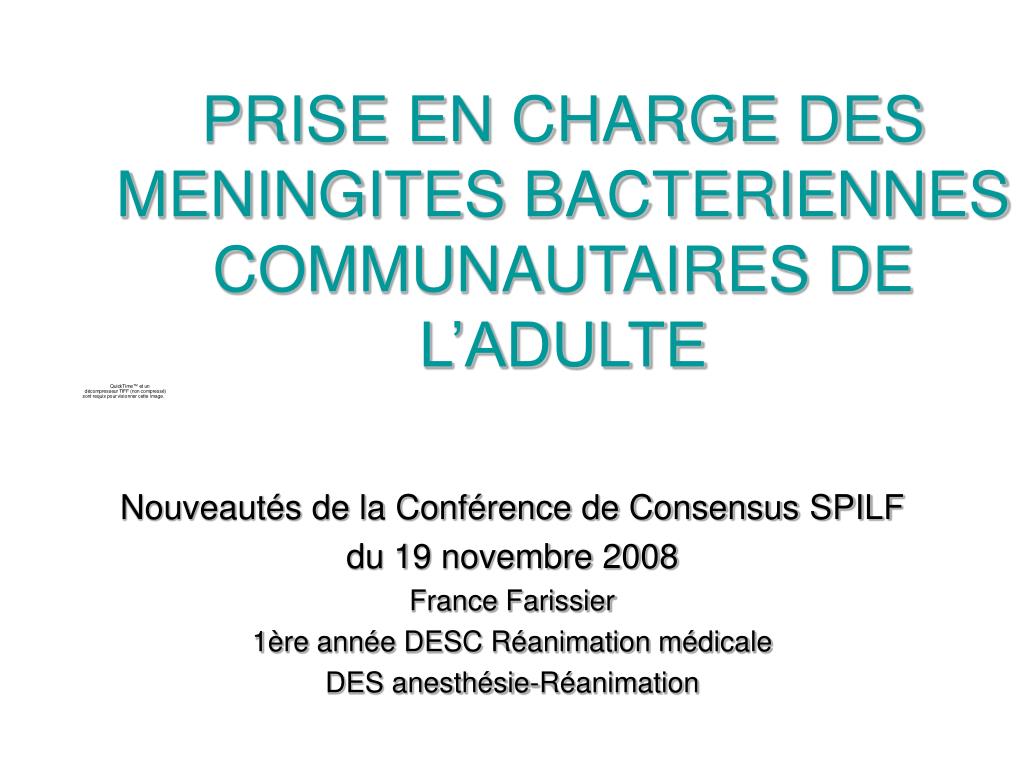 PPT - PRISE EN CHARGE DES MENINGITES BACTERIENNES COMMUNAUTAIRES DE  L'ADULTE PowerPoint Presentation - ID:5333689