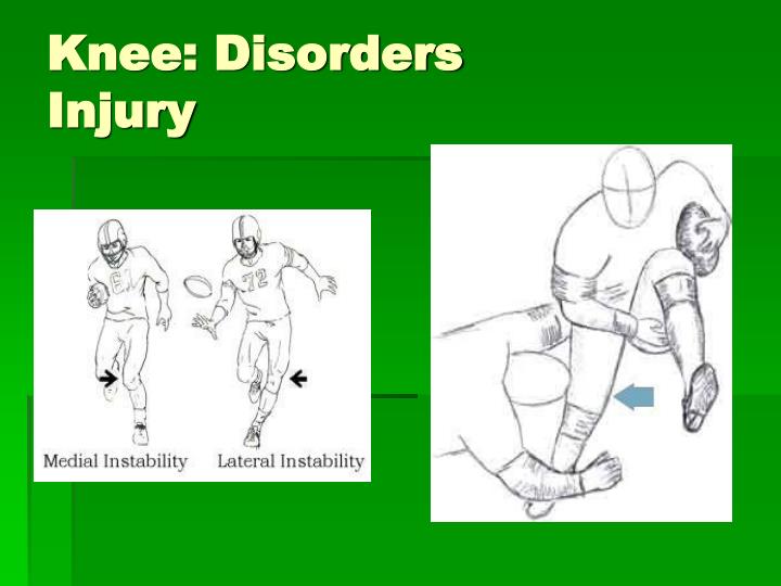 PPT - Knee Structure & Disorders PowerPoint Presentation - ID:5334265