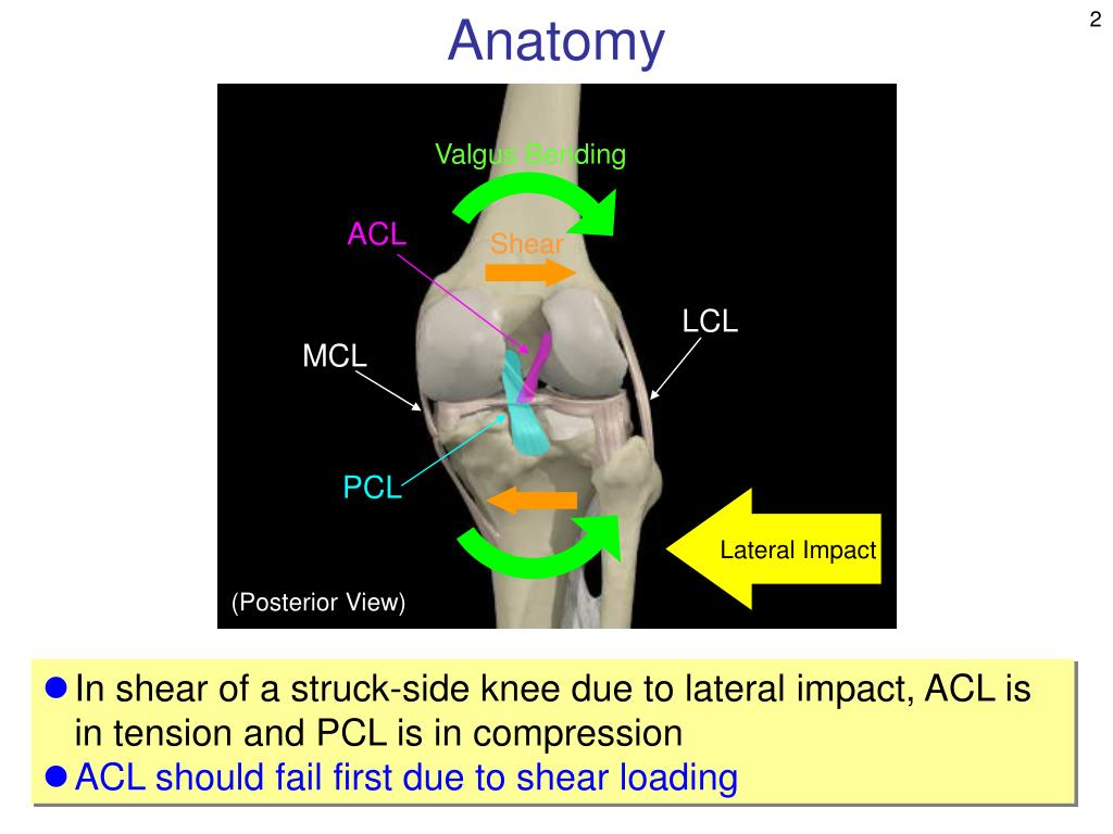PPT - Consideration on ACL/PCL Failure Evaluation PowerPoint ...