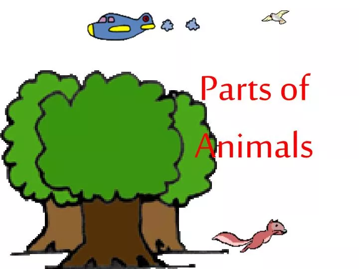 PPT - Parts of Animals PowerPoint Presentation, free download - ID:5334555