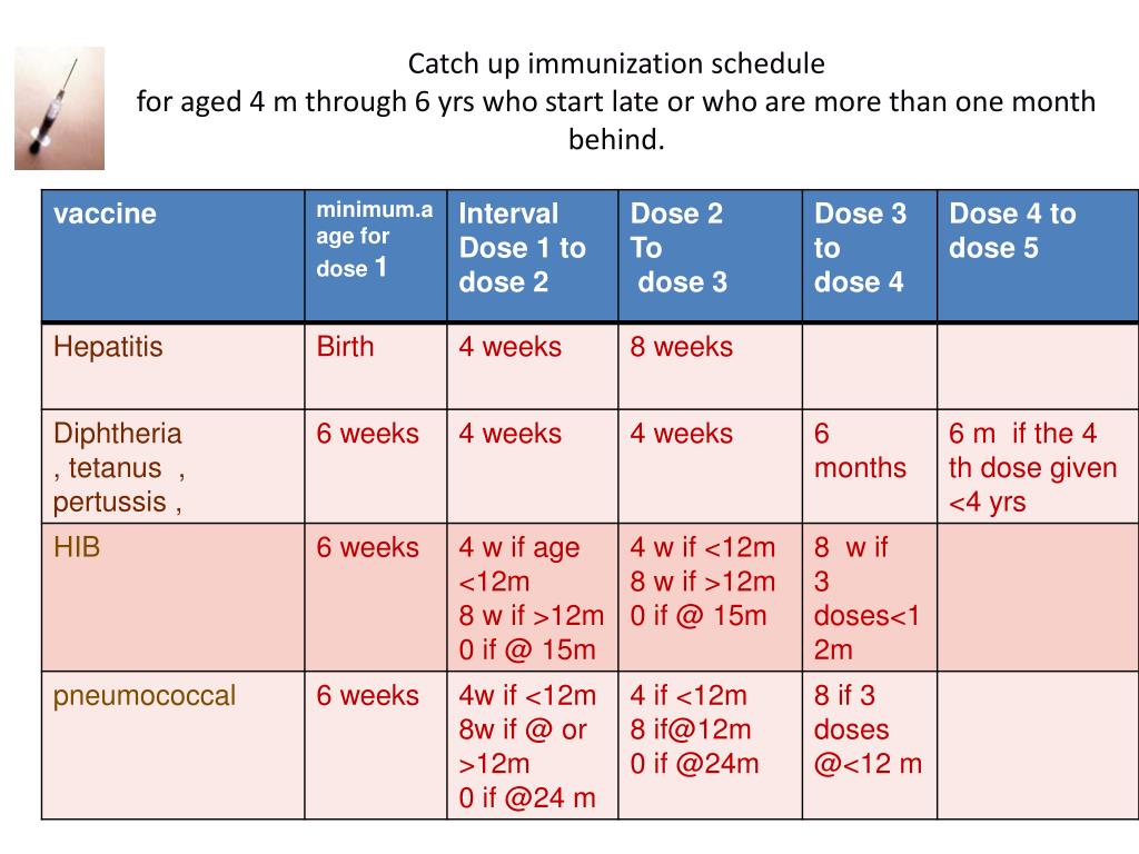 PPT Immunization PowerPoint Presentation Free Download ID 5334628