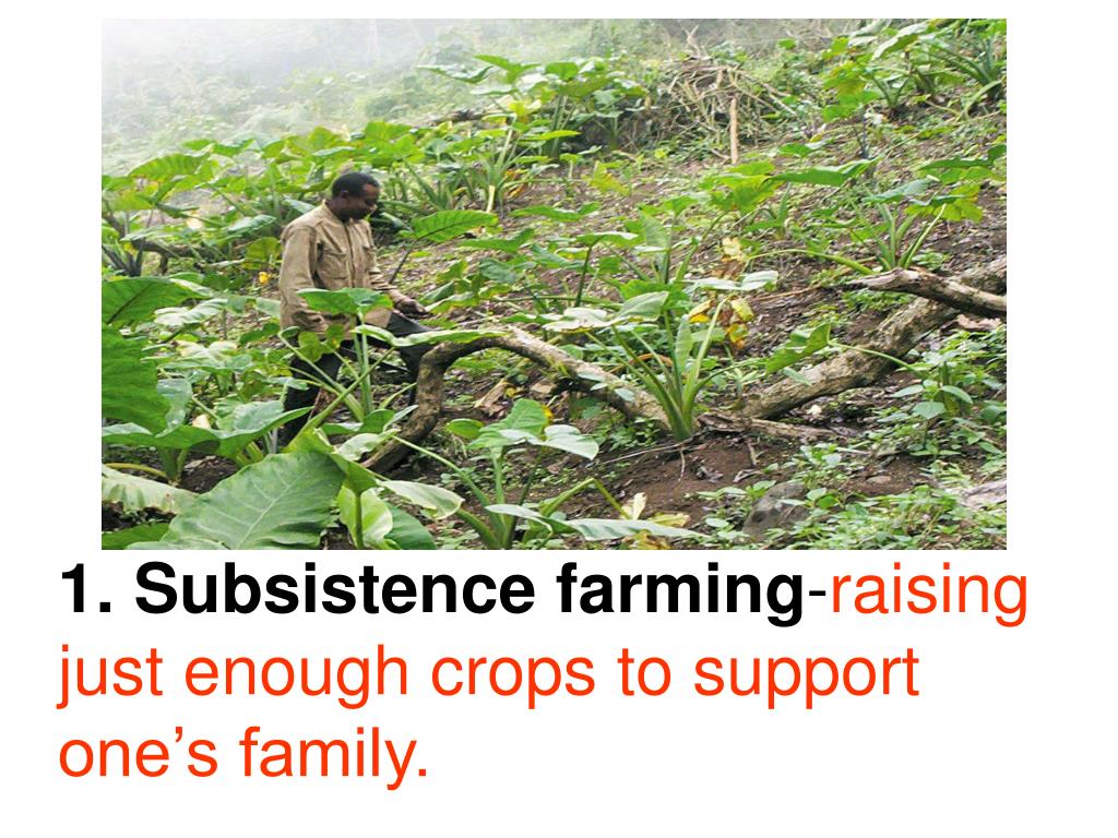 assignment of subsistence farming