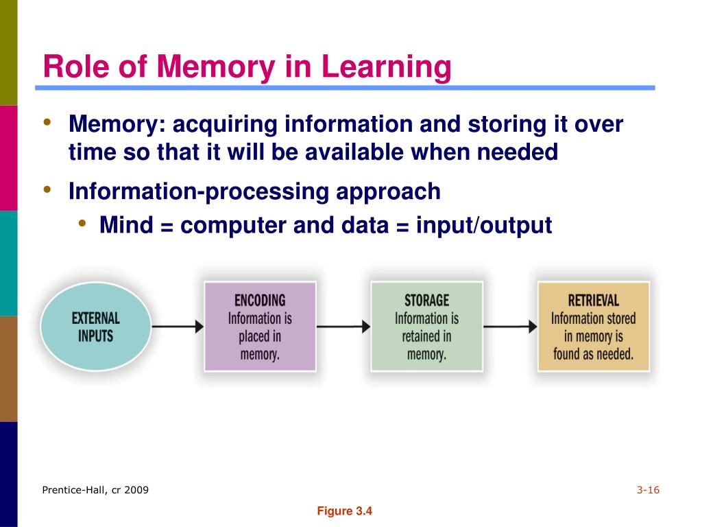 PPT - Chapter 3 Learning and Memory PowerPoint Presentation, free ...