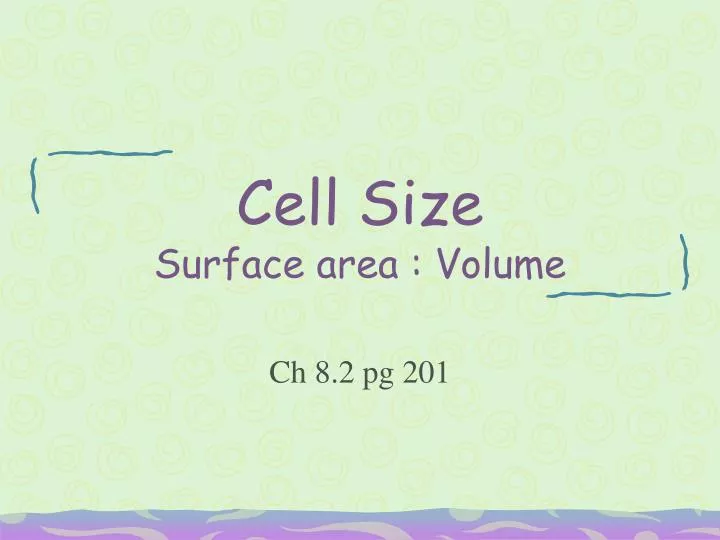 cell size surface area volume The surface area must be large enough to supply the volume of the whole cell only a certain amount of molecules may pass the plasma membrane at a time when the volume surpasses the surface area, the cell will stop growing. cell size surface area volume The surface area must be large enough to supply the volume of the whole cell only a certain amount of molecules may pass the plasma membrane at a time when the volume surpasses the surface area, the cell will stop growing.