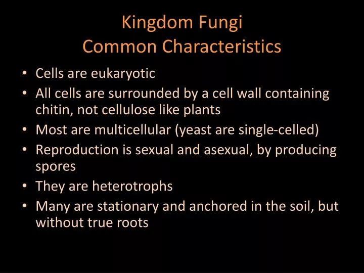 Ppt Kingdom Fungi Common Characteristics Powerpoint Presentation Free Download Id 5339751