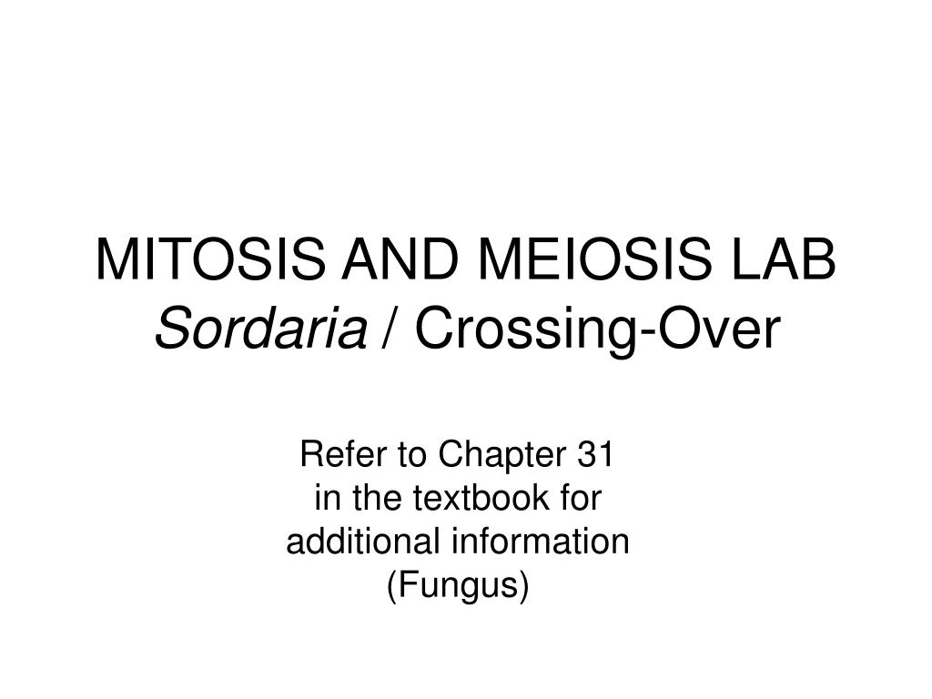 sordaria crossing over lab