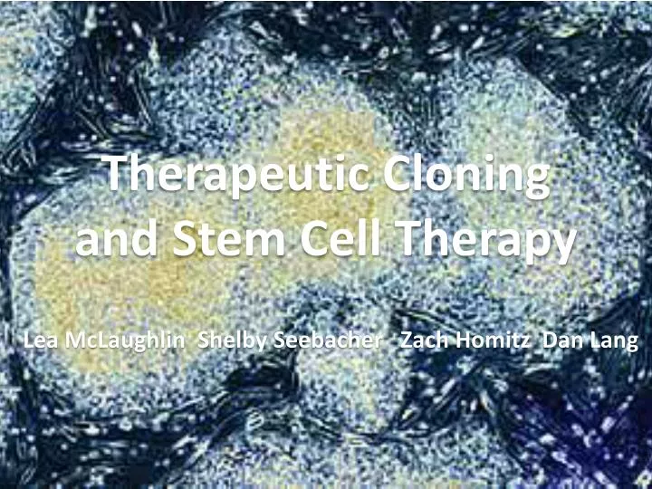 PPT - Therapeutic Cloning and Stem Cell Therapy PowerPoint Presentation ...