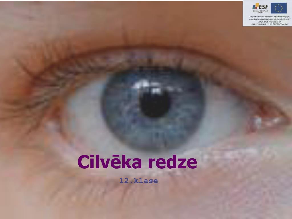 PPT - Cilvēka redze PowerPoint Presentation, free download - ID:5340813