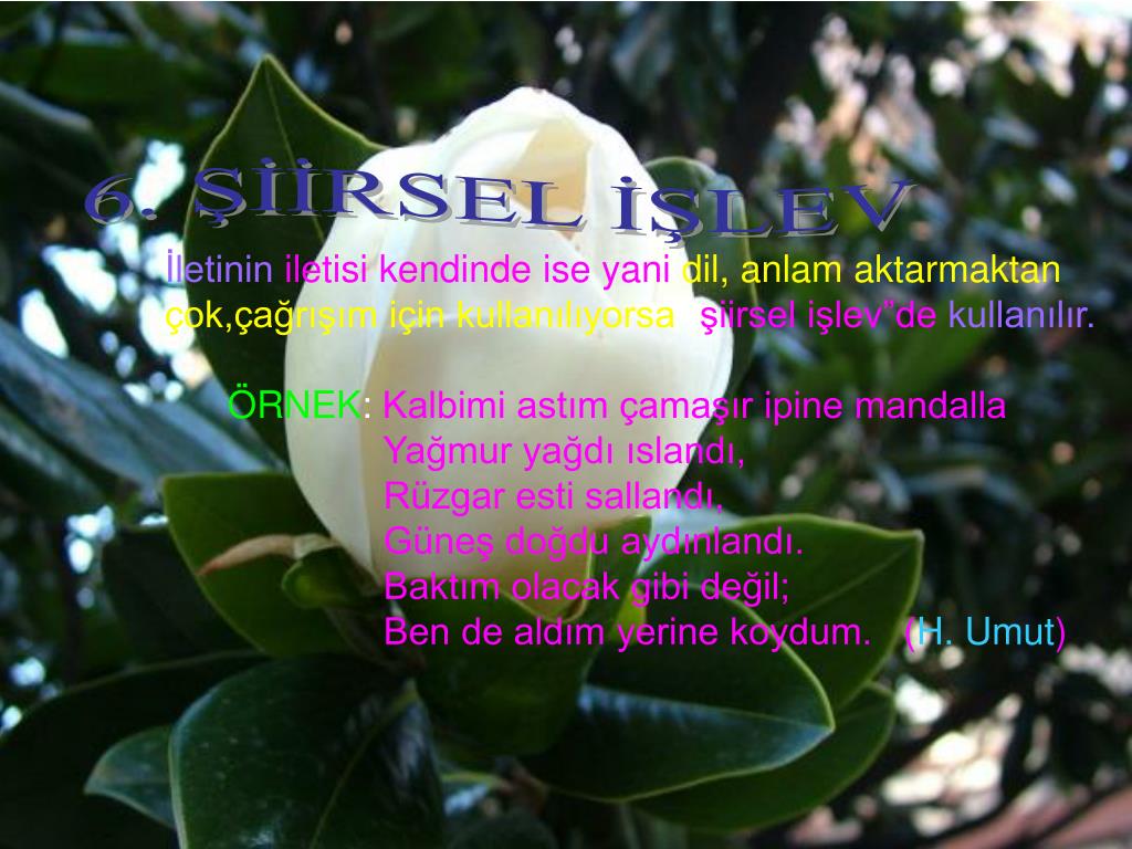 ppt dilin islevleri powerpoint presentation free download id 5343186