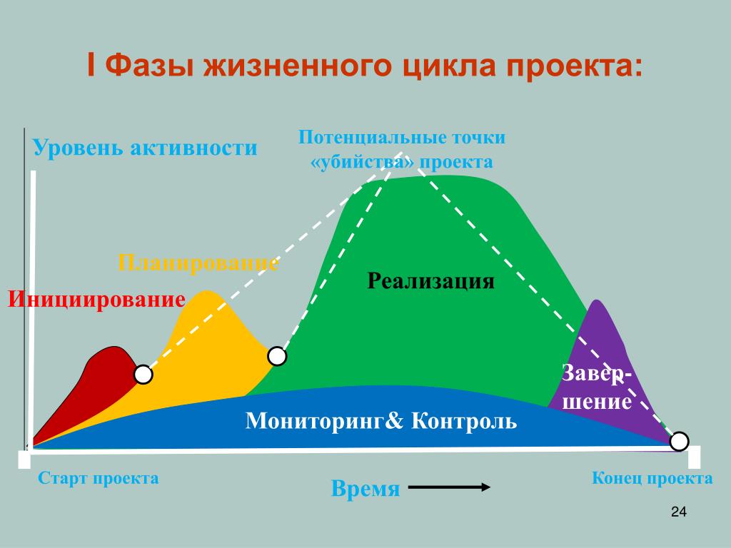 Стадии проектного цикла