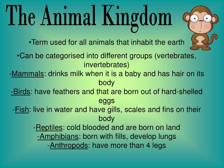 PPT THE ANIMAL KINGDOM PowerPoint Presentation ID5346102