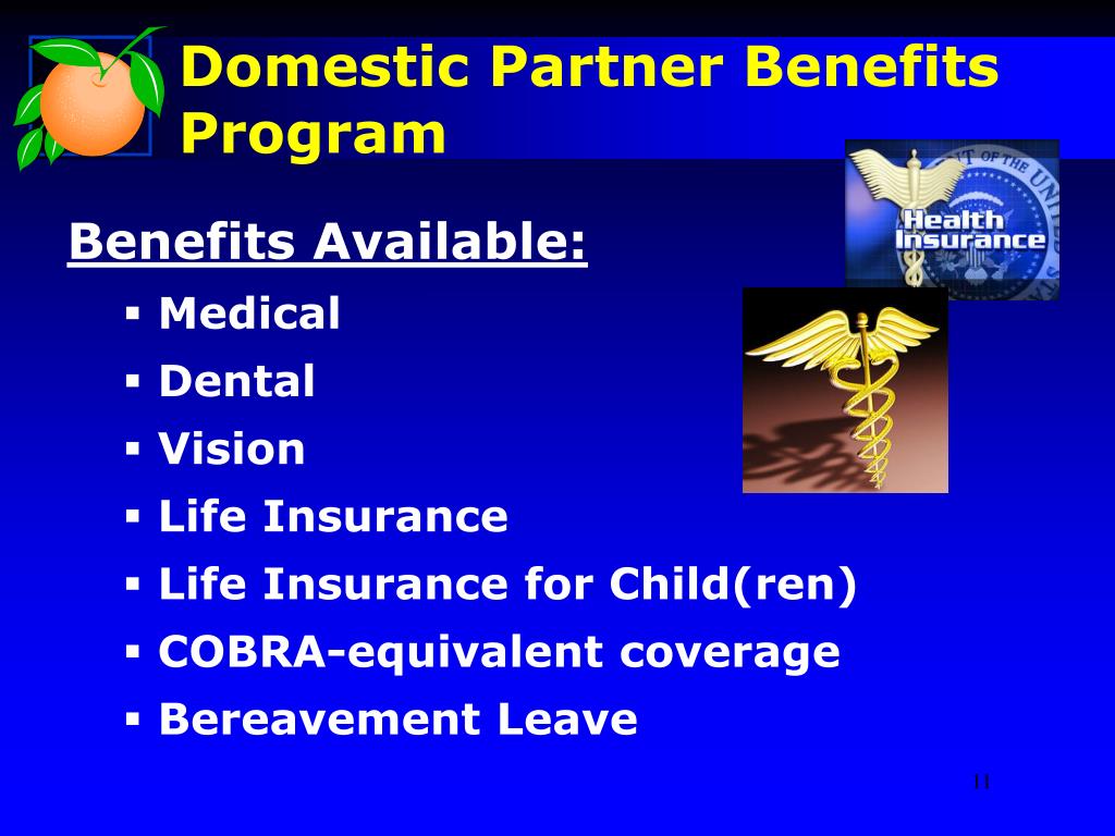 Ppt Domestic Partner Benefits April 19 2011 Powerpoint Presentation Id5348789 9613
