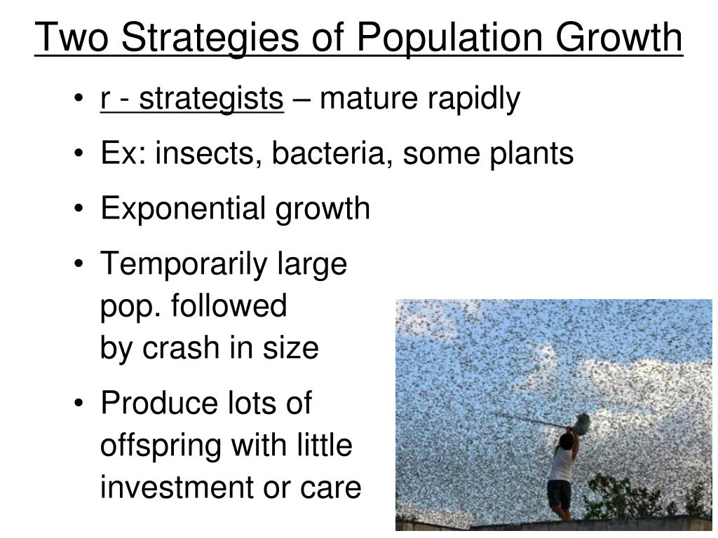 case study about population growth