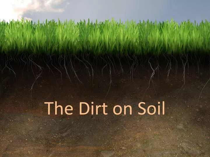 Ppt The Dirt On Soil Powerpoint Presentation Free Download Id 5350454