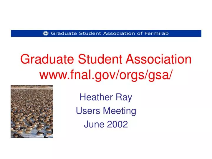 graduate student association www fnal gov orgs gsa n.