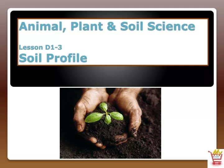 animal plant soil science lesson d1 3 soil profile n.