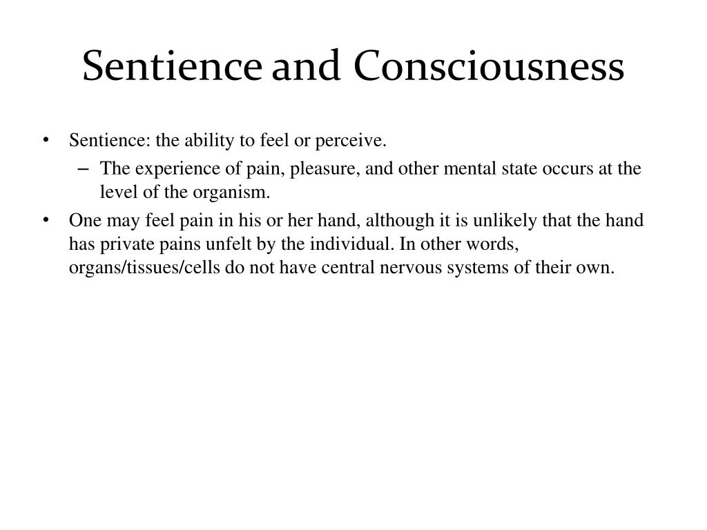 sentience definition sentience definition