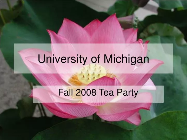 PPT University of Michigan PowerPoint Presentation, free download