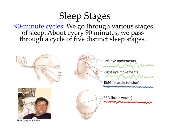 the four stages of sleep Each night healthy people go through 3 stages of sleep and the rem phase people who suffer from rem disorders may talk, scream, or act out vivid dreams. the four stages of sleep Each night healthy people go through 3 stages of sleep and the rem phase people who suffer from rem disorders may talk, scream, or act out vivid dreams.