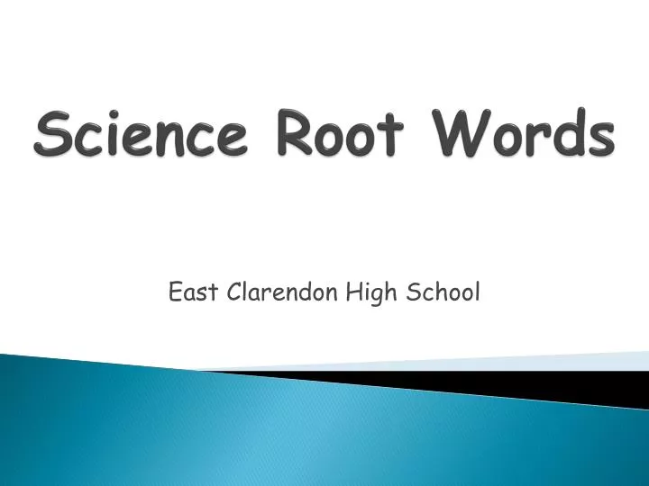 root word powerpoint
