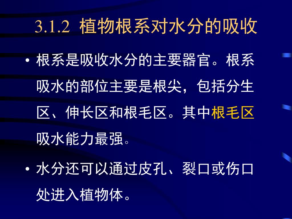 Ppt 第三章植物的物质与能量代谢powerpoint Presentation Id
