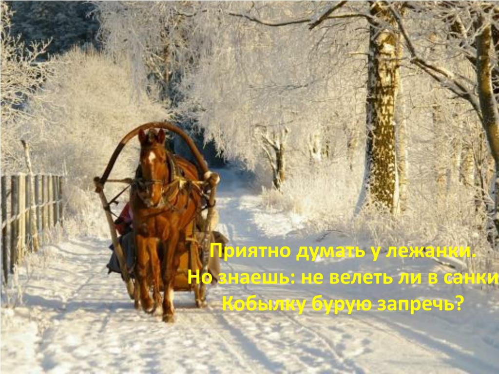 Невдалеке стояла телега запряженная. Лошадь с санями. Зимняя повозка. Лошадь с санями зимой. Лошадь запряженная в сани.
