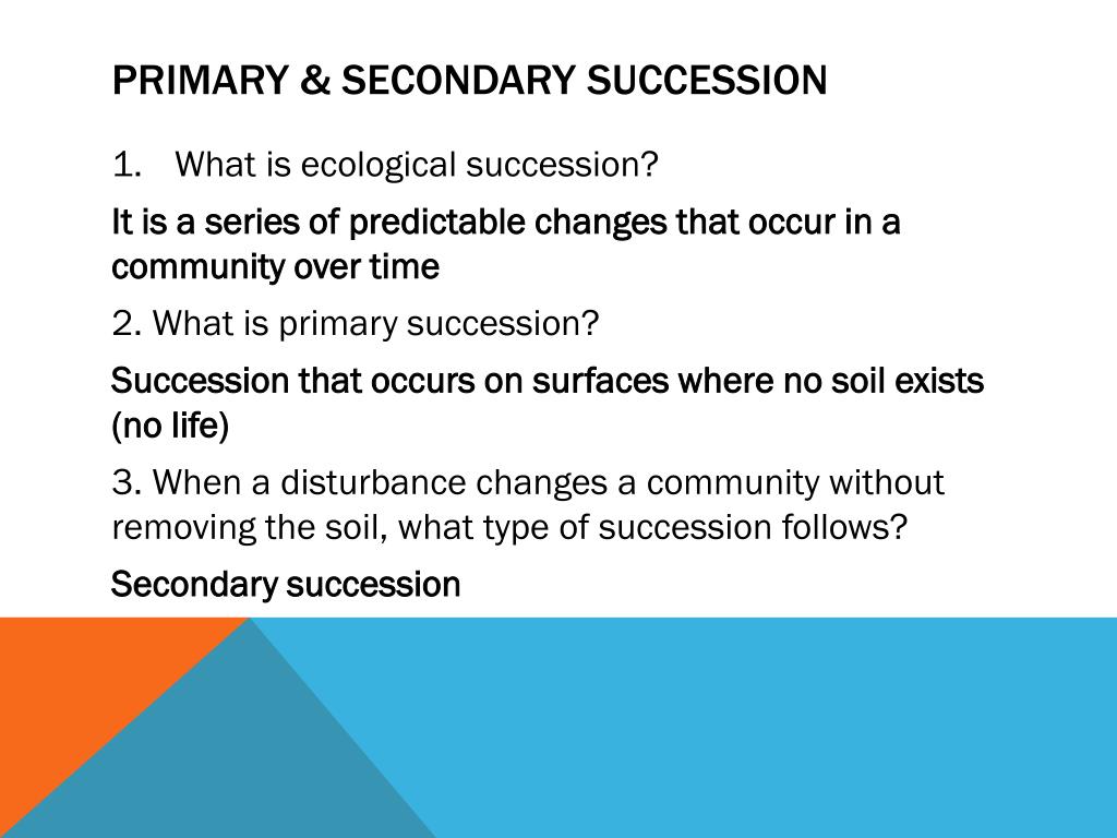 Why is secondary succession faster than primary