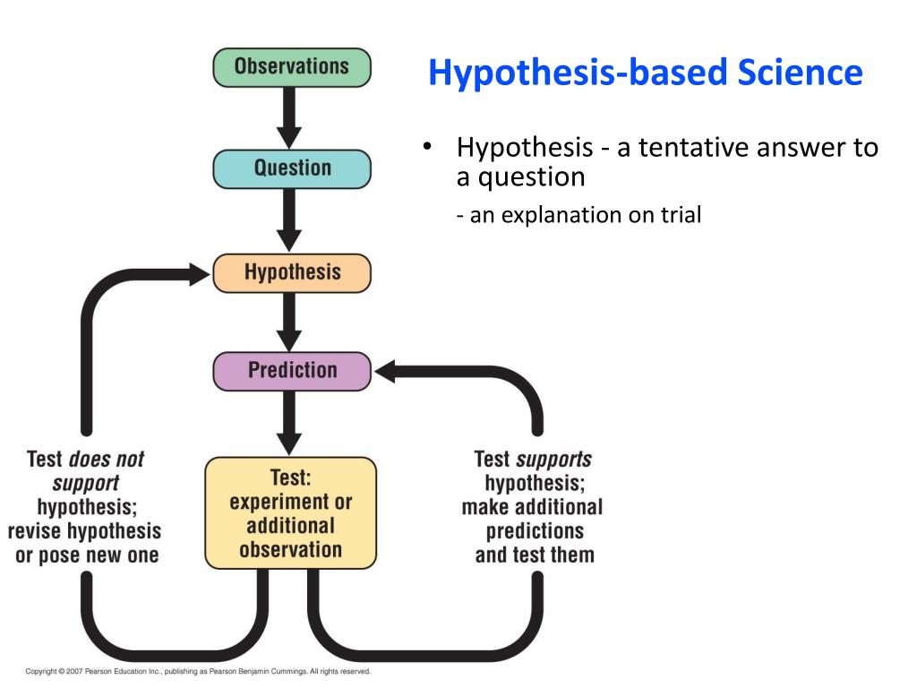 hypothesis based science