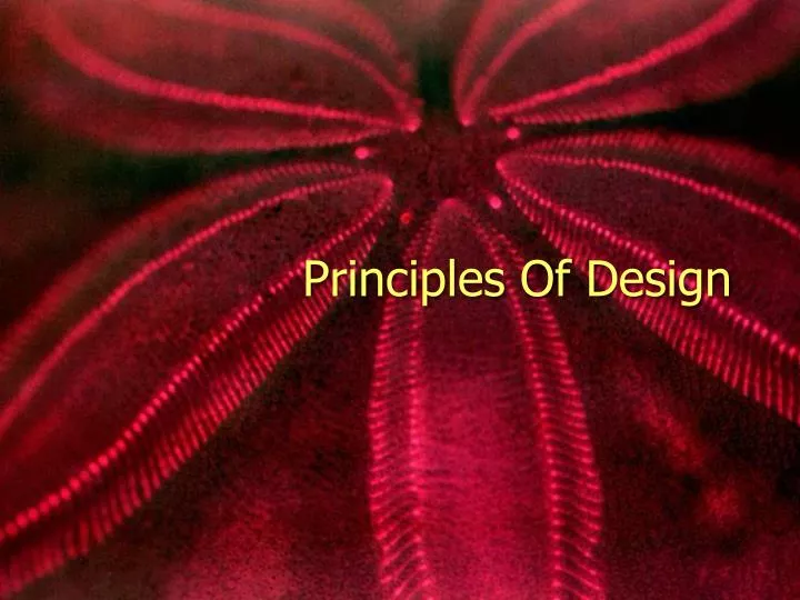 principles of design n.