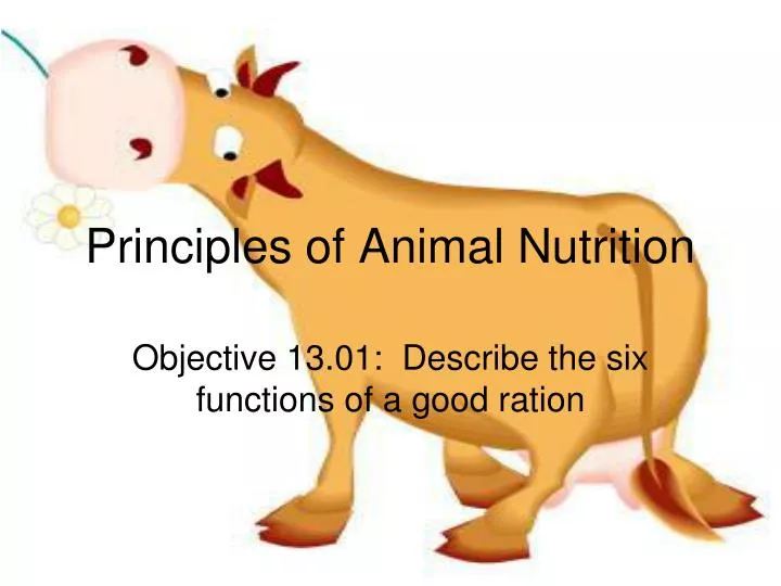 PPT - Principles of Animal Nutrition PowerPoint Presentation, free download  - ID:5362659