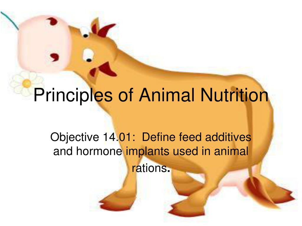 PPT - Principles of Animal Nutrition PowerPoint Presentation, free