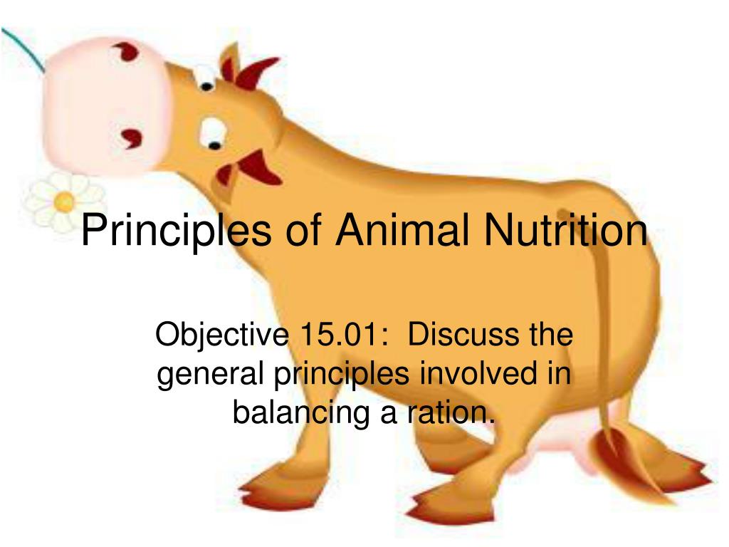 PPT - Principles of Animal Nutrition PowerPoint Presentation, free download  - ID:5362659