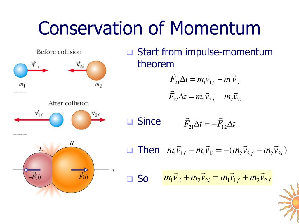 conservation of momentum essay