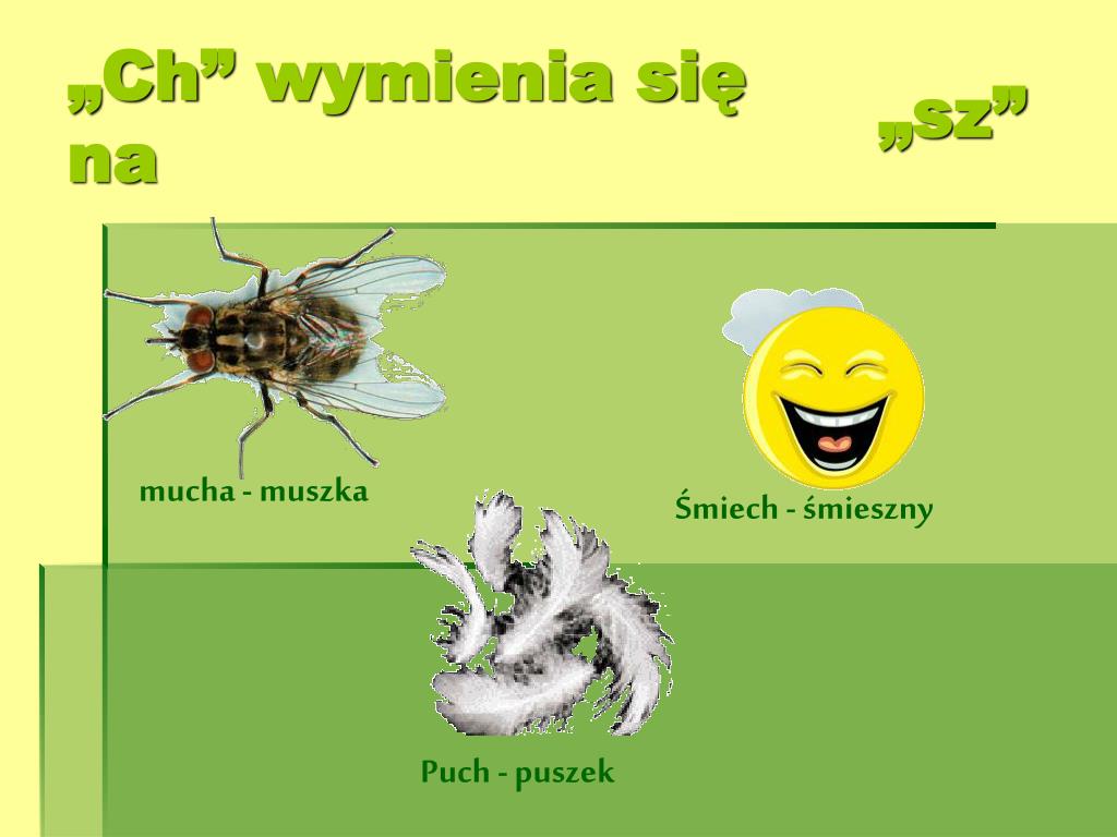 Na Co Wymienia Się Samo H PPT - Zabawy z ortografią PowerPoint Presentation, free download - ID