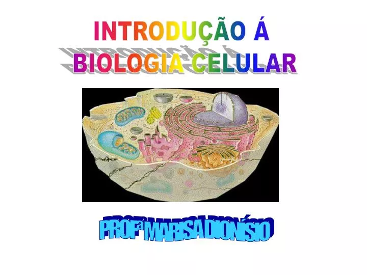PPT INTRODU O BIOLOGIA CELULAR PowerPoint Presentation Free 