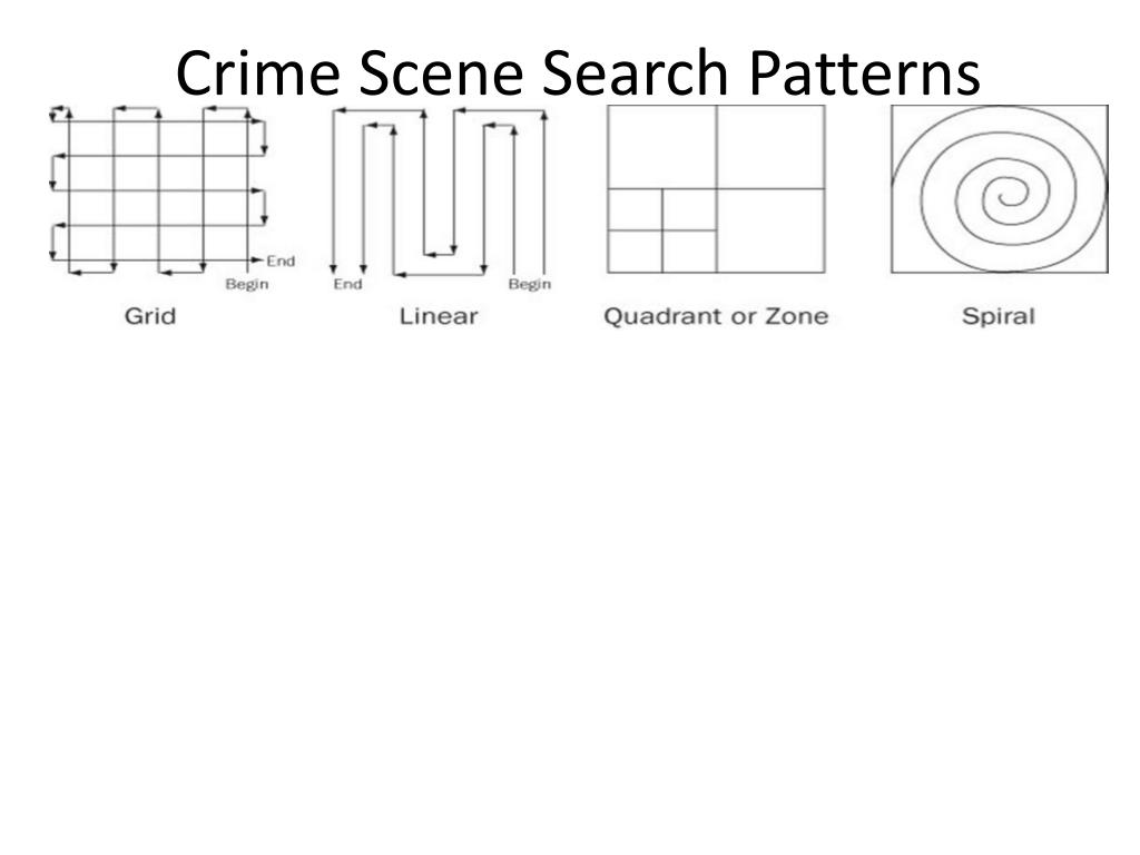 PPT CRIME SCENE INVESTIGATION EVIDENCE COLLECTION PowerPoint 