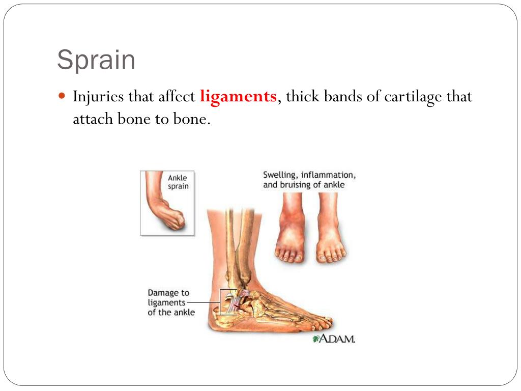 PPT - Sports Fitness PowerPoint Presentation, free download - ID:5364912