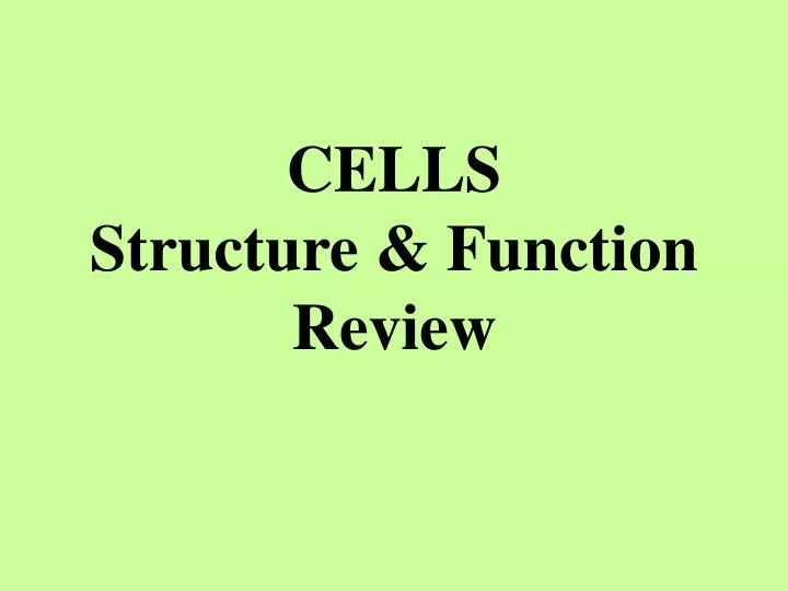 cells structure function review n.