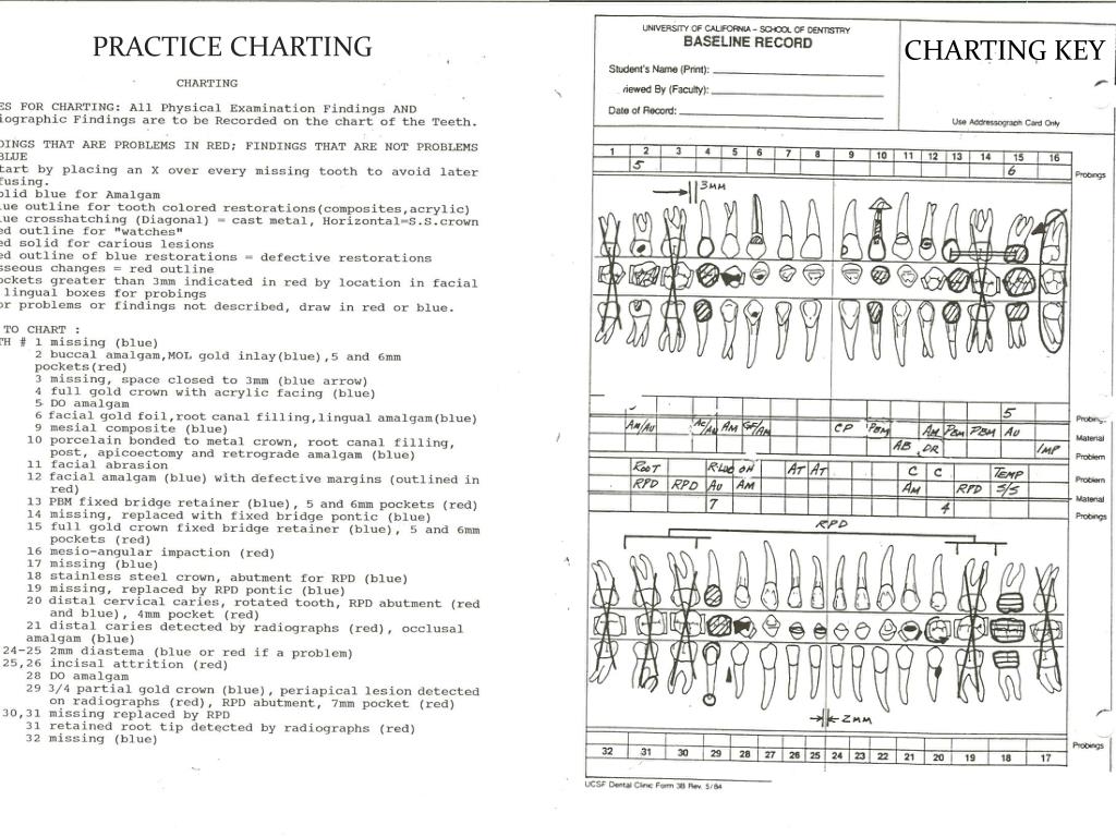 Dental Charting Practice