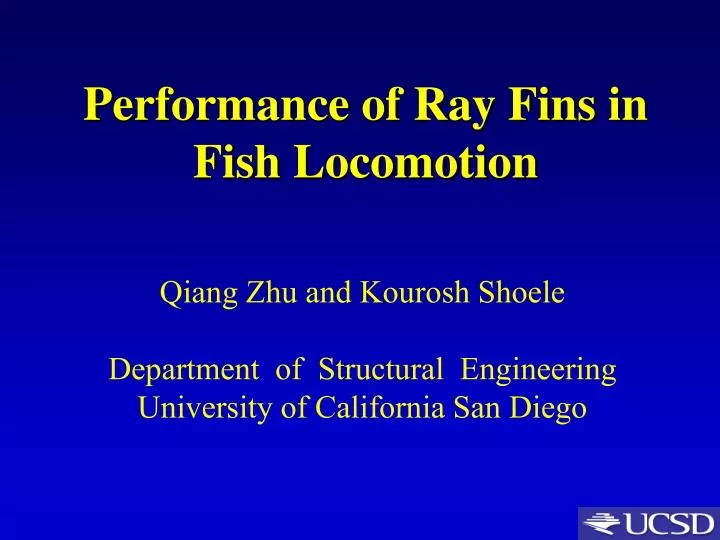 performance of ray fins in fish locomotion n.