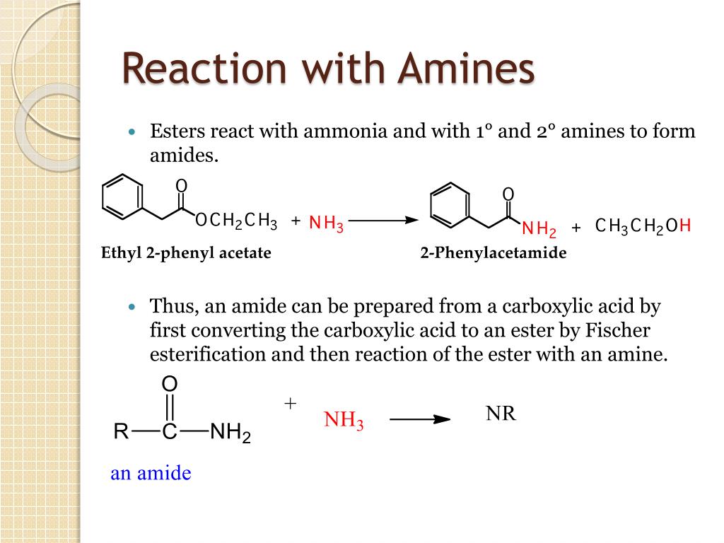 Mnemonic device for amines amides ethers esters Mnemonic device for amines amides ethers esters maxi forex