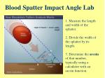 PPT - Blood Spatter & Crime Scenes PowerPoint Presentation - ID:5371326