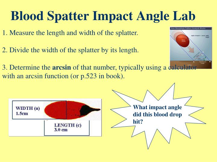 PPT - Blood Spatter & Crime Scenes PowerPoint Presentation - ID:5371326