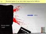 PPT - Blood Spatter & Crime Scenes PowerPoint Presentation - ID:5371326