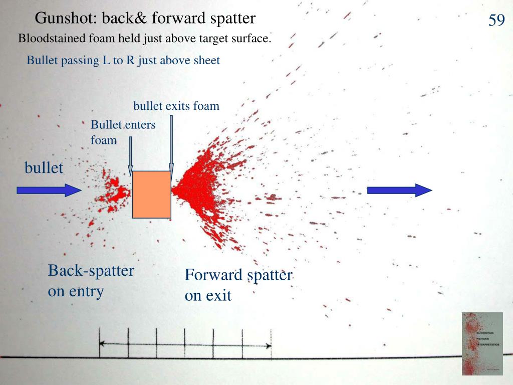 PPT - Blood Spatter & Crime Scenes PowerPoint Presentation, free